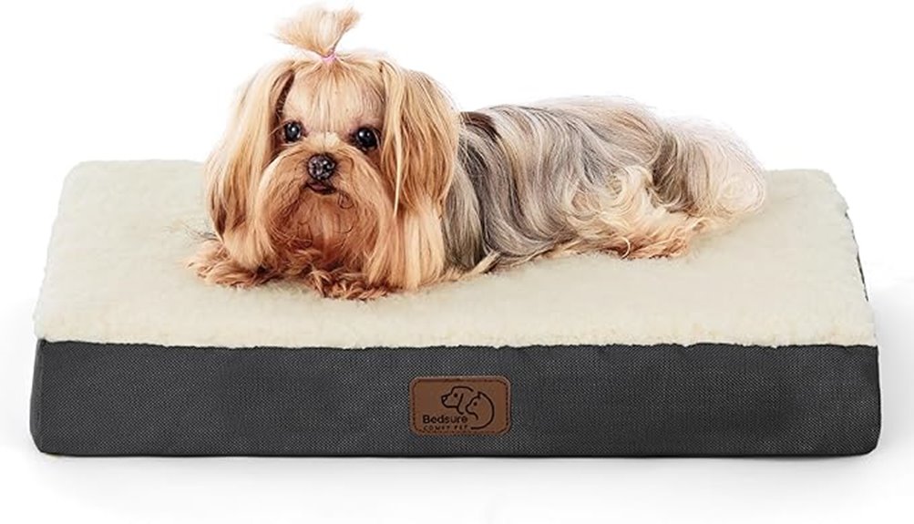 washable orthopedic dog bed
