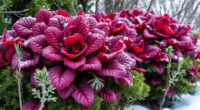 winter evergreen edible plants
