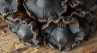 wood ear mushroom preparation