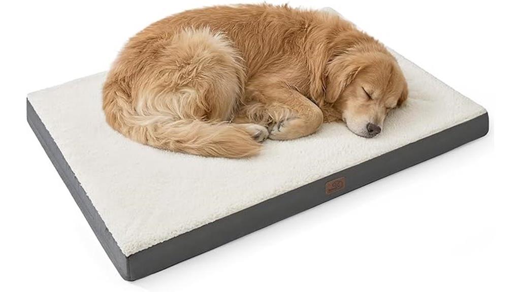 xl dog bed for large