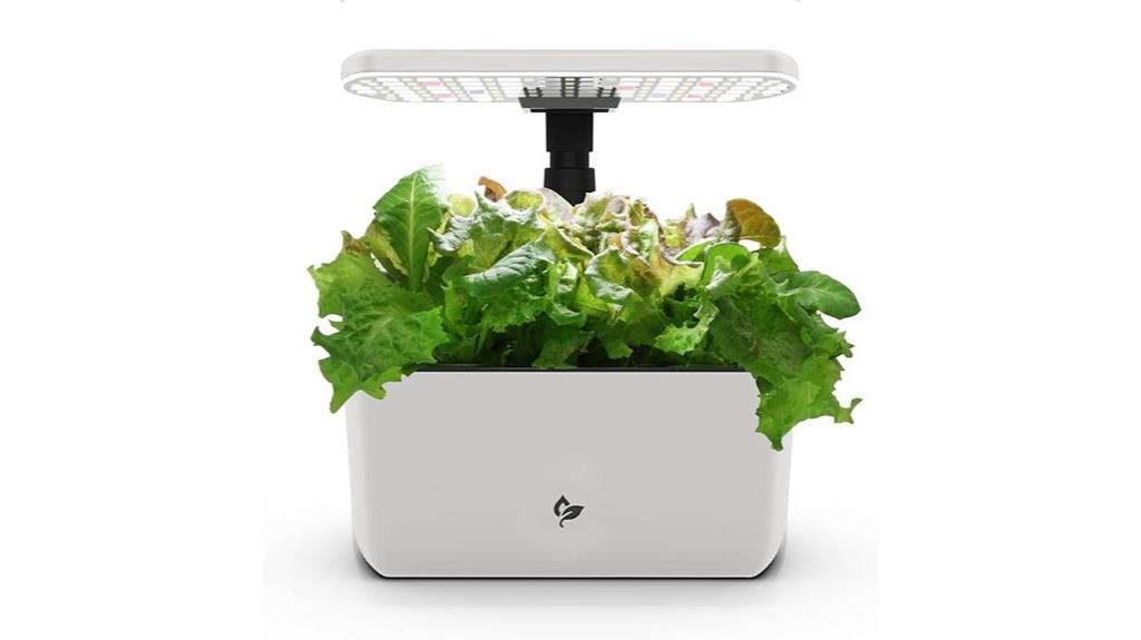 cream soil free hydroponic garden