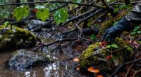 adapting for wet environments