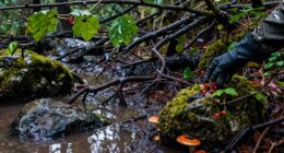 adapting for wet environments