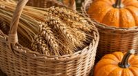 breathable harvest basket design