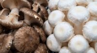 edibility and quality distinctions