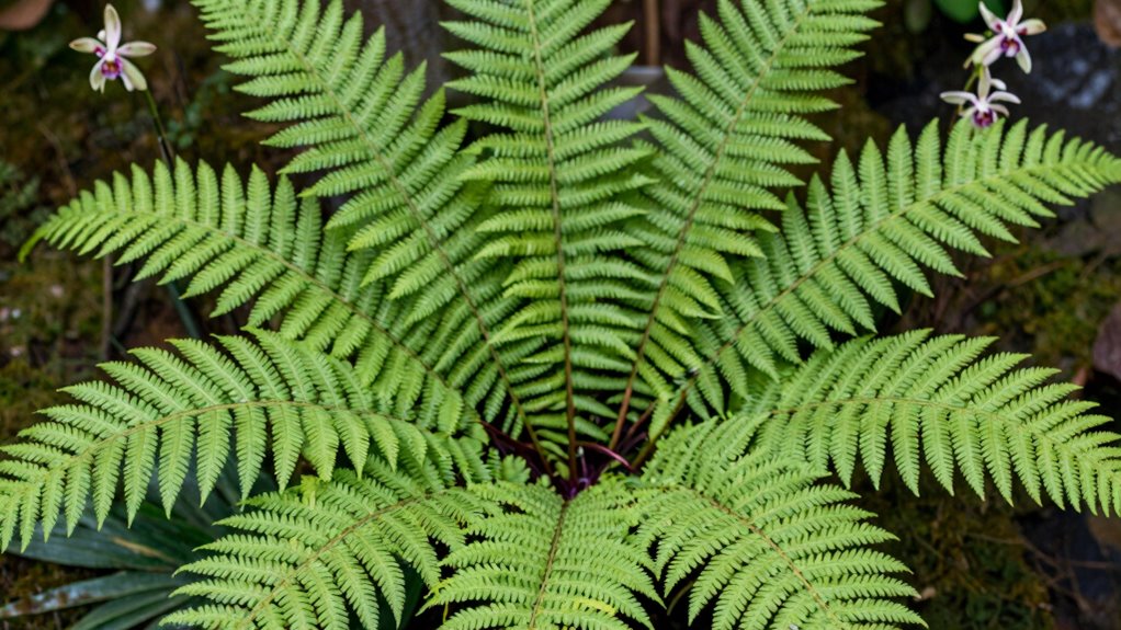familiar plants ensure quick relief