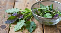 gentle cleaning preserves greens