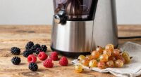 juicing wild fruits efficiently