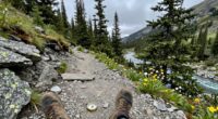 know your local terrain
