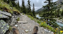 know your local terrain