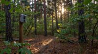 land monitoring with cameras