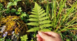 learn practice identify trust