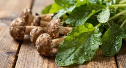 minimalist approach enhances flavor