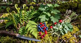 nutritional value and availability