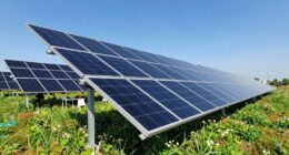 outdoor solar panel essentials