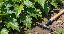 preparation alters plant function