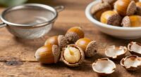 prepare acorns properly