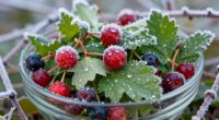 preserve texture through freezing