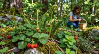 promoting wild food knowledge