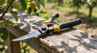 pruning tools for trees