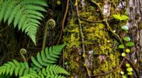 recurring wild plant motifs