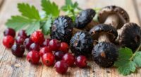 simple wild food preservation