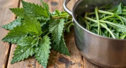 softens and preserves flavor