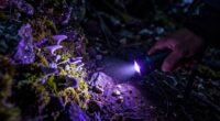 specialized uv flashlight applications