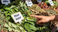spotting false herbal claims