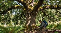 understanding trees importance