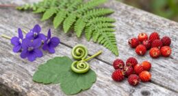 use small foraged portions