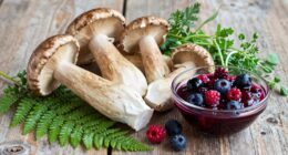 wild food pairing tips