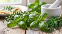 wild herbs enhance everyday dishes