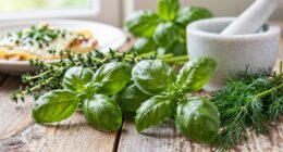 wild herbs enhance everyday dishes