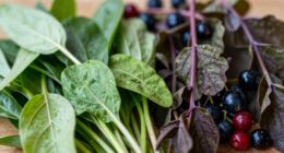 young wild foods preferred