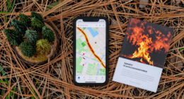 Why the American Southeast is becoming a new hotspot for wildfires