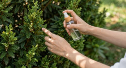 14 Best Tick Repellents in 2026