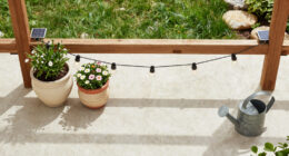 15 Best Garden Solar String Lights in 2026