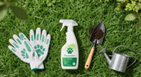 Has Your Lawn Gone To The Dogs? Experts Explain How To Fix Grass Your Dog Has Damaged