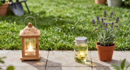 How To Turn Your Yard Into A Refuge For Fireflies