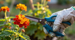 Make These 7 So-Called One-And-Done Flowers Bloom Again – This Simple Snip Creates A Gorgeous Second Flush