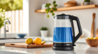 Stay Cool This Summer with the Ninja KT200BL Precision Kettle