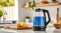 Stay Cool This Summer with the Ninja KT200BL Precision Kettle