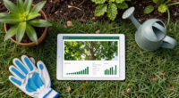 Sydney Tree Canopy Data Shows Both Stability And Growth - Spatial Source