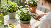 7 Garden Rules You Can Safely Break Once Mid-August Hits
