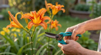 How To Get A Second Flush Of Flowers From Your Daylilies – Plus, This Easy Trick Keeps Plants Looking Fresh