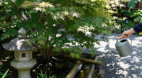 Japanese Gardens, Oregon, United States Surges In Global Coverage
