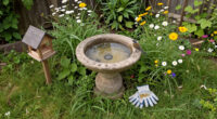 The Puddle Bird Bath Your Backyard Needs To Attract The Birds You Are Missing This Summer
