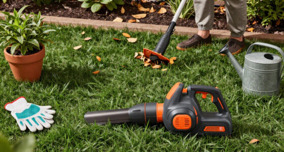 15 Best Cordless Leaf Blowers in 2026