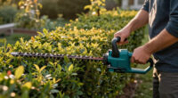 15 Best Gas Powered Hedge Trimmers in 2026